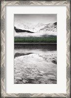 Framed Waterfowl Lake Panel III BW with Color