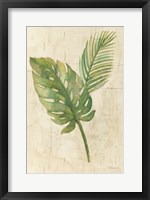 Framed Tropical Leaves Neutral