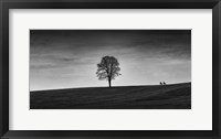 In the Distance Framed Print