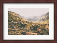 Framed In the Valley