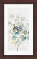 Framed Eucalyptus III on Shiplap Crop