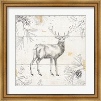 Framed Wild and Beautiful X