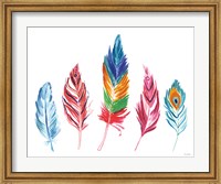 Framed Rainbow Feathers IV