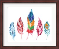 Framed Rainbow Feathers IV
