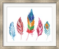 Framed Rainbow Feathers IV