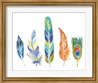 Framed Rainbow Feathers III