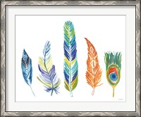 Framed Rainbow Feathers III