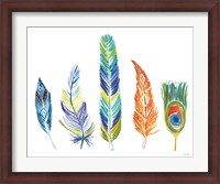 Framed Rainbow Feathers III