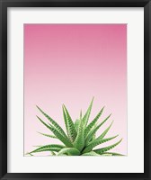 Framed Succulent Simplicity I Pink Ombre Crop