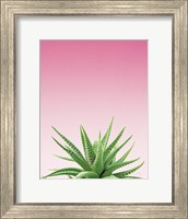 Framed Succulent Simplicity I Pink Ombre Crop