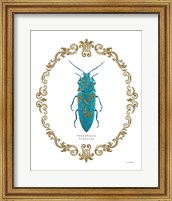 Framed Adorning Coleoptera VIII