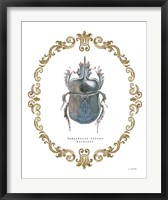 Framed Adorning Coleoptera IV