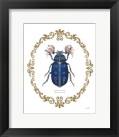Framed Adorning Coleoptera III