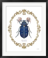 Framed Adorning Coleoptera III