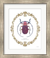 Framed Adorning Coleoptera II