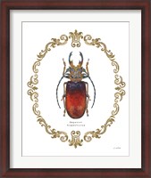 Framed Adorning Coleoptera I