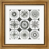 Framed Patterns of the Amazon XXI