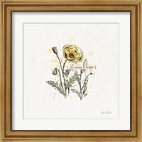 Framed 'Thoughtful Blooms III' border=