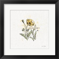 Thoughtful Blooms III Framed Print