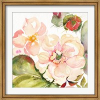 Framed Desert Rose III