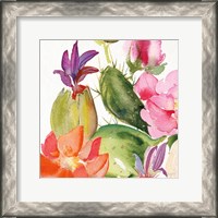 Framed Desert Rose II