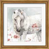 Framed Wild Horses V