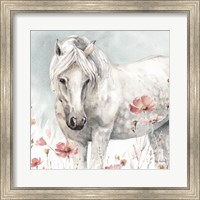 Framed Wild Horses V