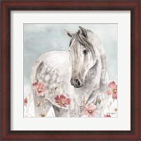 Framed Wild Horses IV