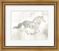 Framed Mustang Study Neutral