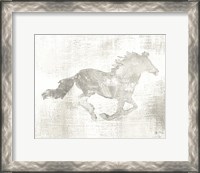 Framed Mustang Study Neutral