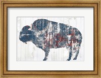 Framed Free Spirit II Red White Blue