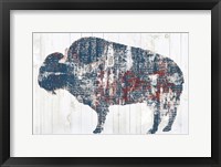 Framed Free Spirit II Red White Blue