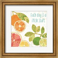 Framed Citrus Splash IV