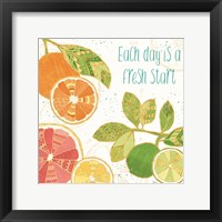 Citrus Splash IV Framed Print
