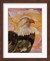 Framed Majestic Eagle