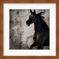 Framed 'Gypsy Horse Collection V1 1' border=