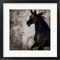Framed 'Gypsy Horse Collection V1 1' border=