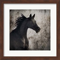 Framed 'Gypsy Horse Collection V1 4' border=