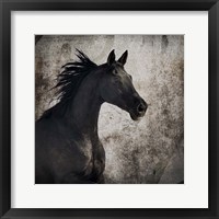 Framed 'Gypsy Horse Collection V1 4' border=