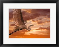 Framed Heron Sunset
