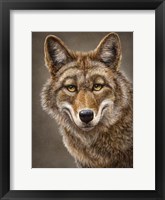 Framed Coyote Totem