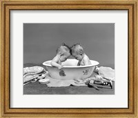 Framed 1930s Twin Babies In Bath Tub