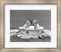 Framed 1930s Twin Babies In Bath Tub