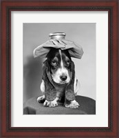 Framed Bassett Hound Dog With Ice Pack On Head