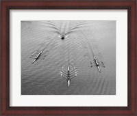 Framed 1950s Aerial View Of Rowing Competition