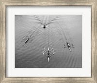 Framed 1950s Aerial View Of Rowing Competition