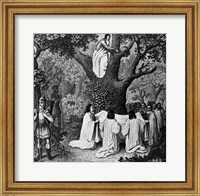 Framed Illustration Of Druid Priests