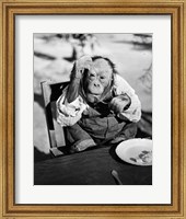 Framed 1930s Very Old Chimpanzee