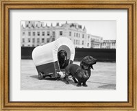 Framed 1930s Two Dachshund Dogs