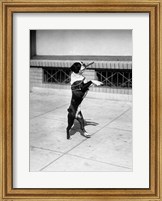 Framed 1930s Boston Terrier Performing
